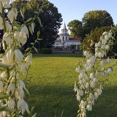 Moka Banja Koviljača