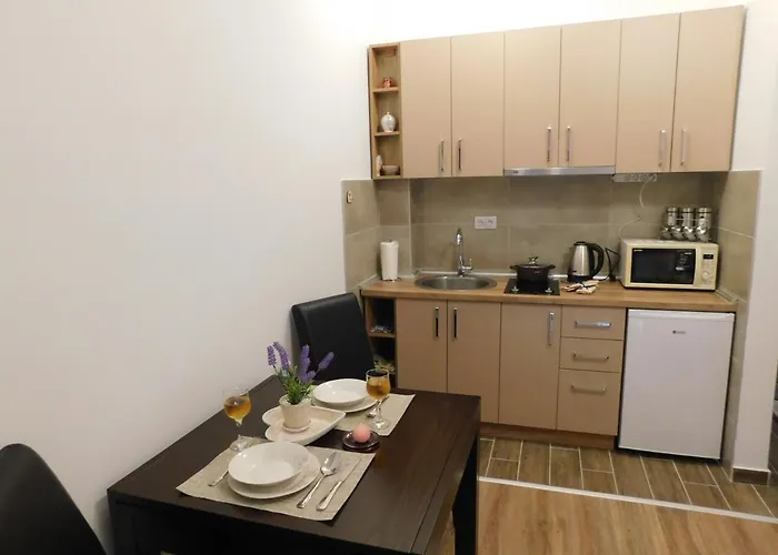 Διαμέρισμα Moka Banja Koviljača