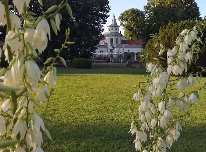 Moka Banja Koviljača